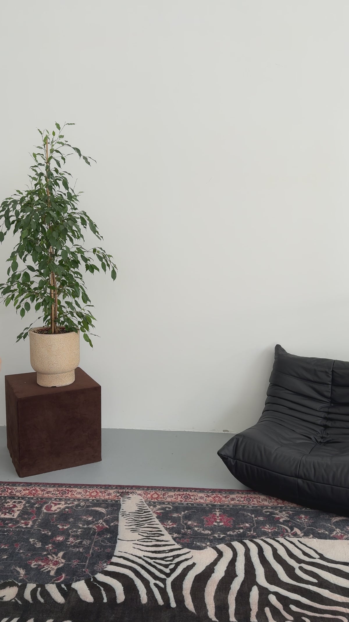Bluzka Aura Maroon